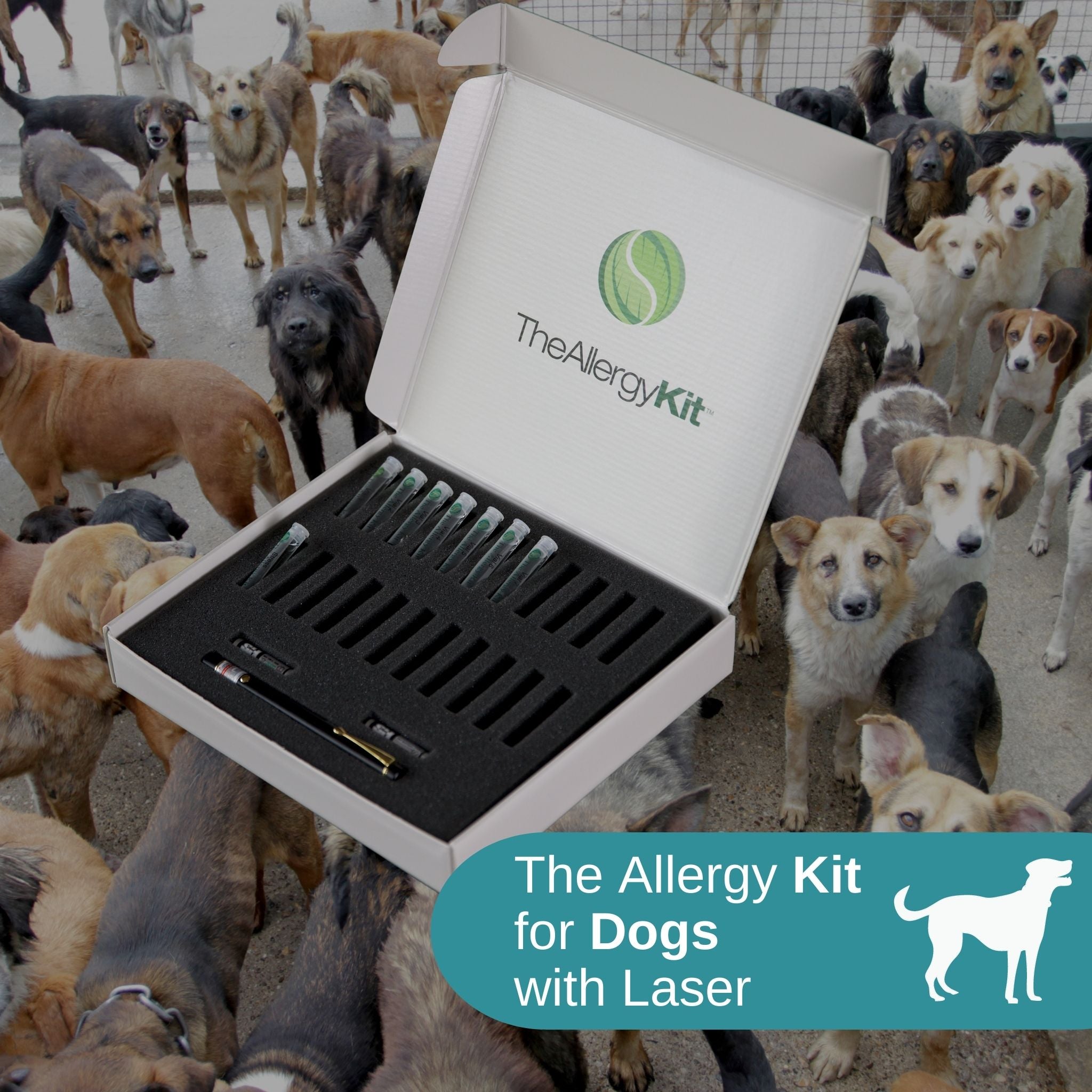 The Allergy Kit for Dogs with Laser